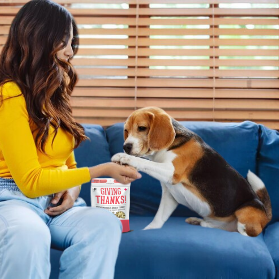 The Granville Island Pet Treatery - Giving Thanks