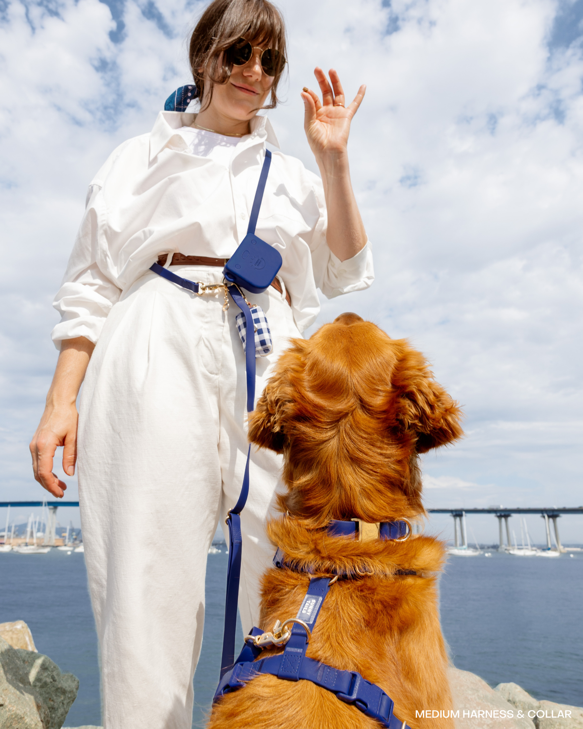 Sunny Tails - Signature Navy Snap Dog Treat Pouch