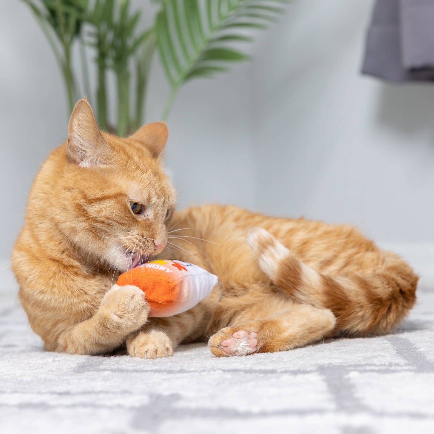 Huxley & Kent - Go Fish Phishy Cat Toy