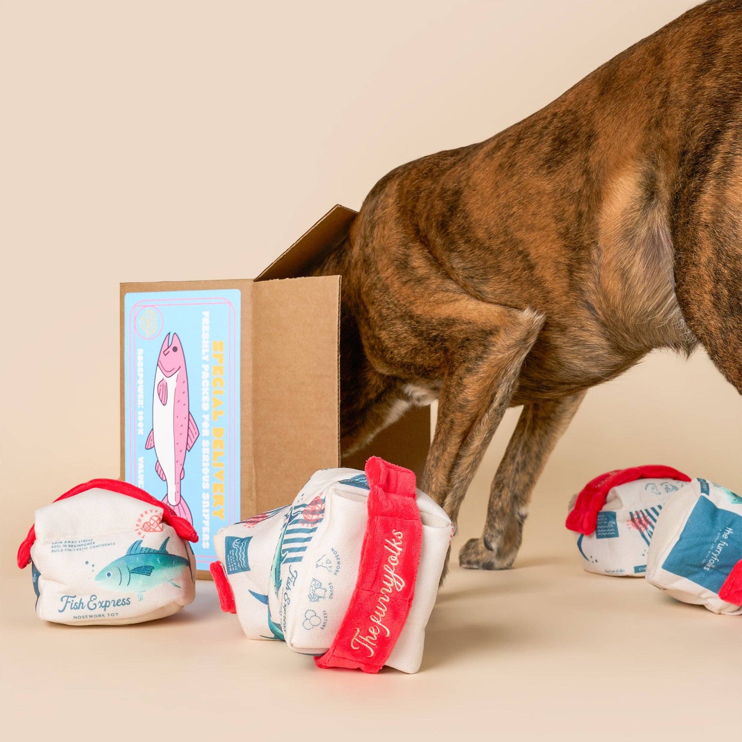 the furryfolks - Fish Express Nosework Toy