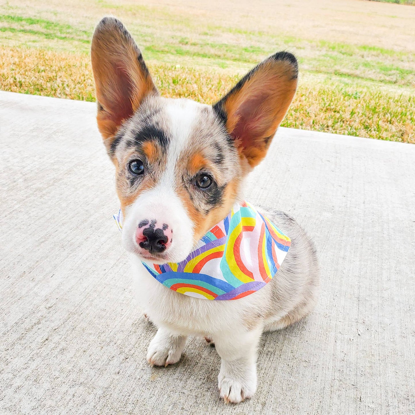 Bandana - Birthday Girl