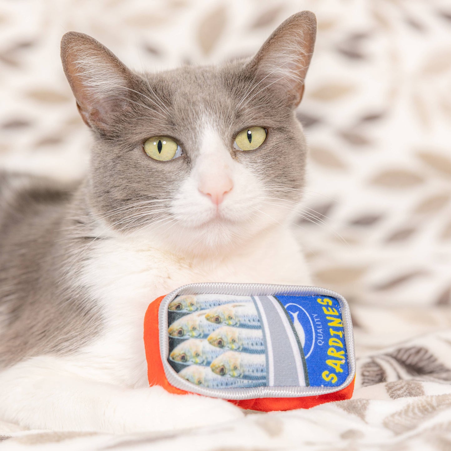 Huxley & Kent - Sardine Tin Cat Toy