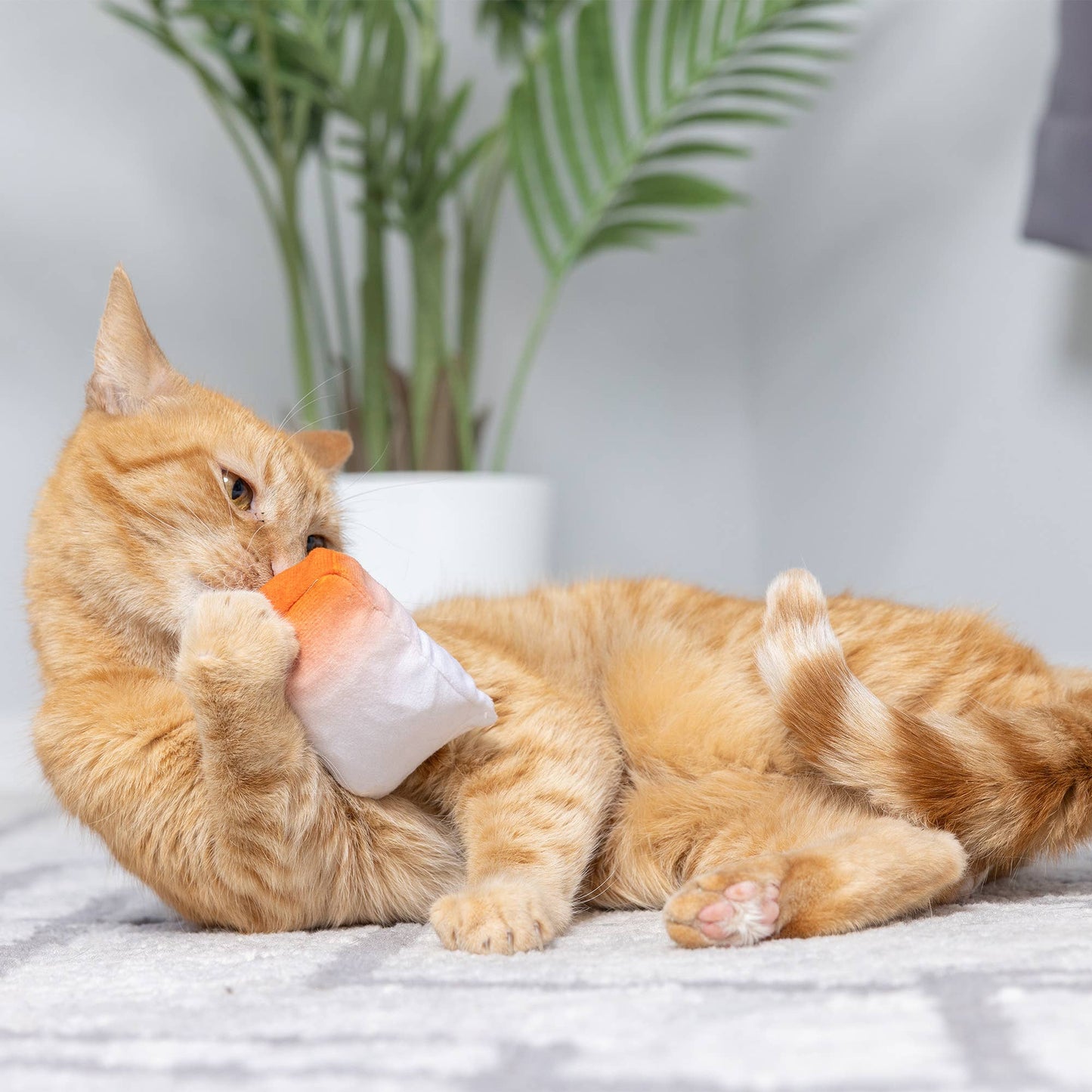 Huxley & Kent - Go Fish Phishy Cat Toy