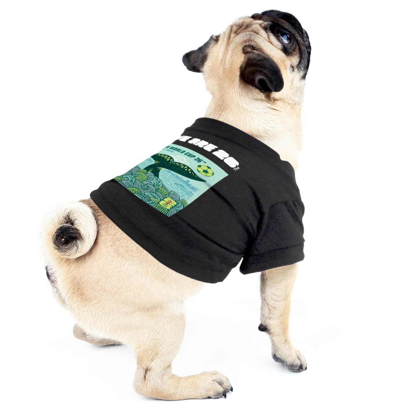 2026 FIFA World Cup Seattle Pet T-Shirt