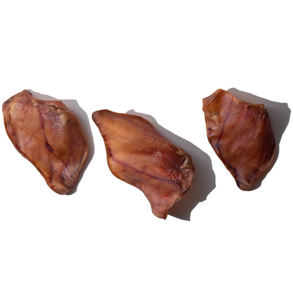 Pig Ear