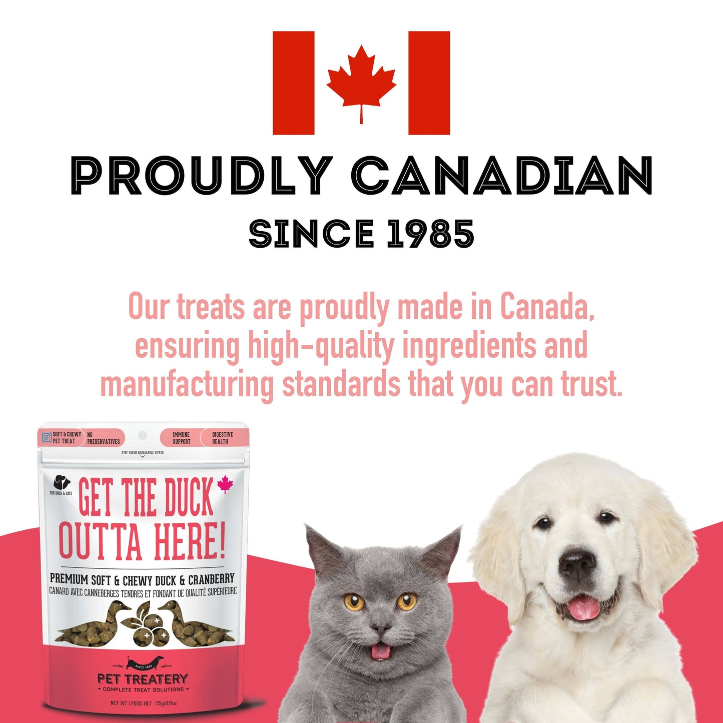 The Granville Island Pet Treatery - Get the Duck Outta Here!