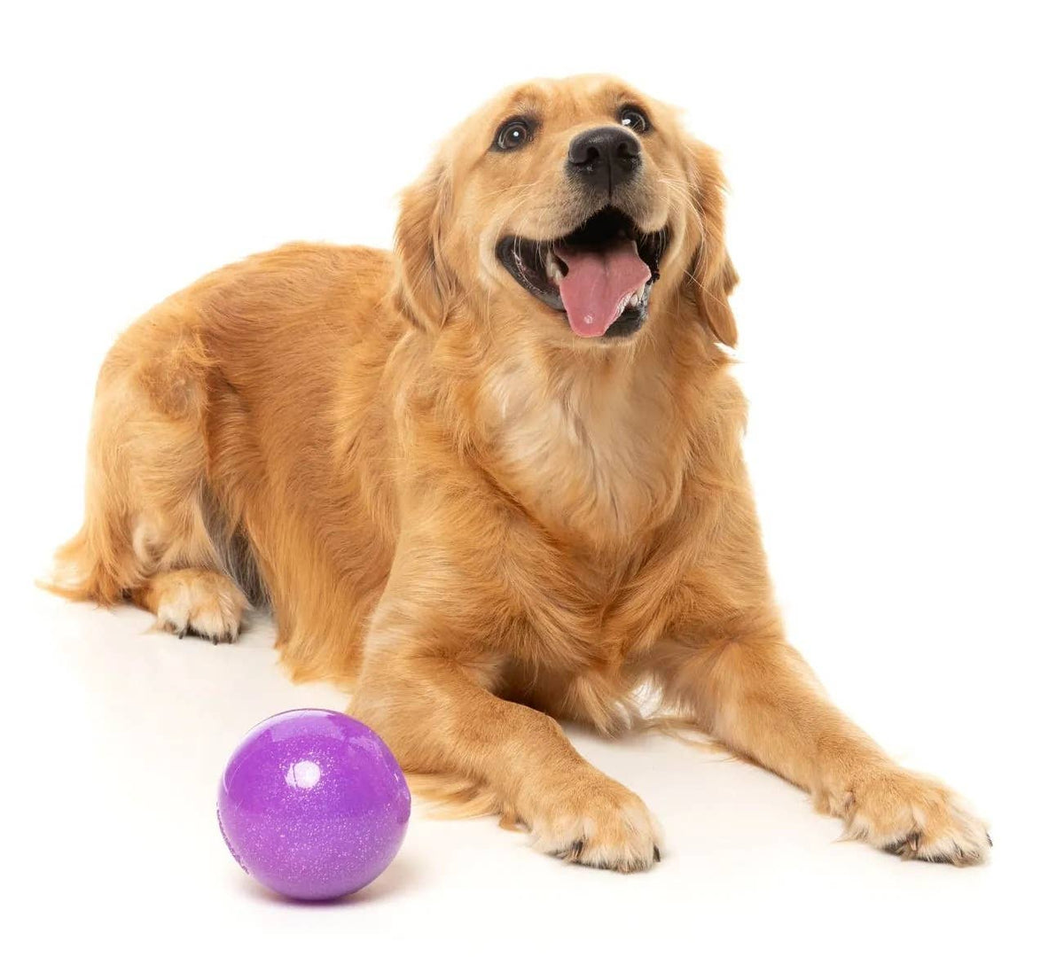FuzzYard Truth Tellin' Treat Ball