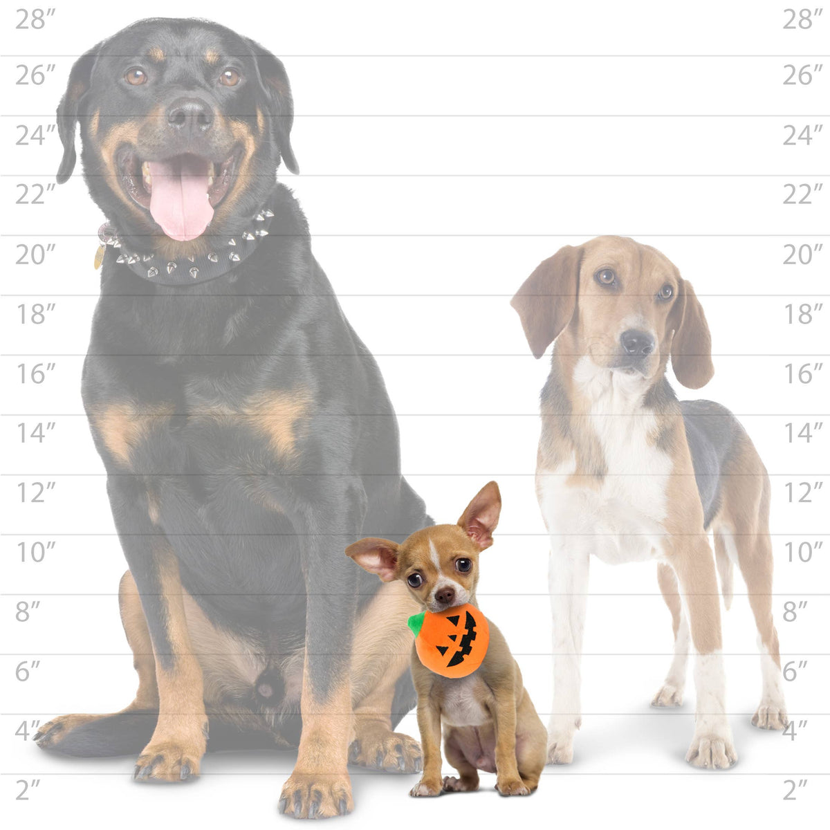 Tuffy Dog Toys - Mighty Ball - Halloween Pumpkin