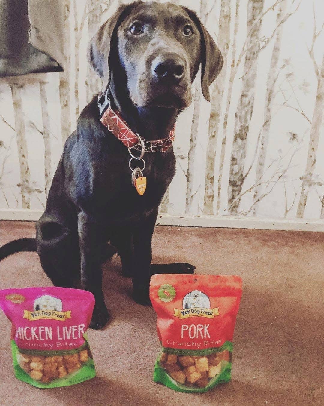 Yeti Dog Chew - Chicken Liver Crunchy Bites