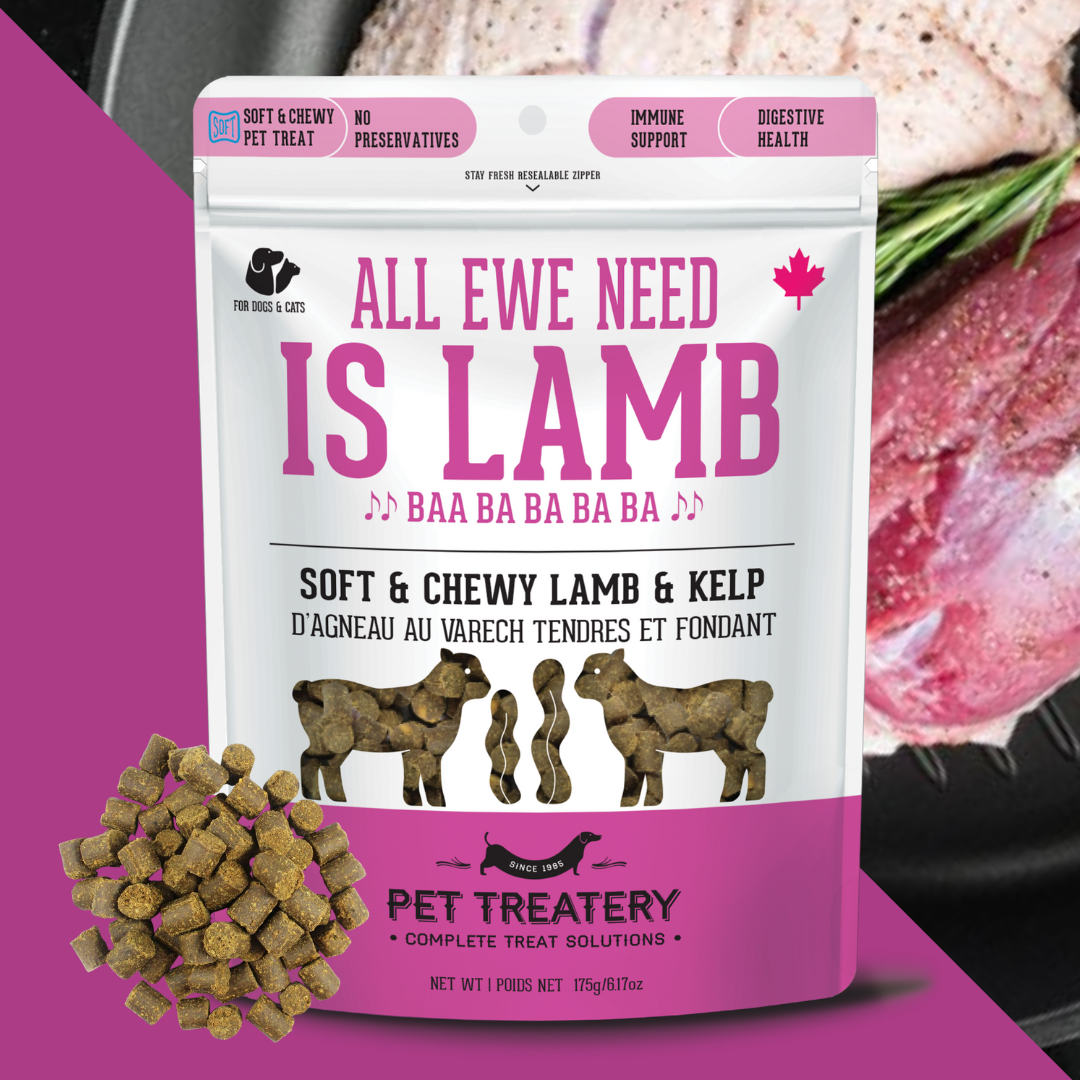 The Granville Island Pet Treatery - All Ewe Need is Lamb