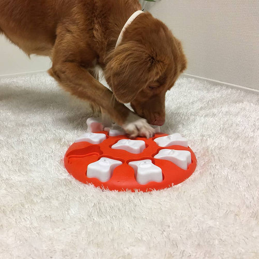 Nina Ottosson - Dog Smart Puzzle