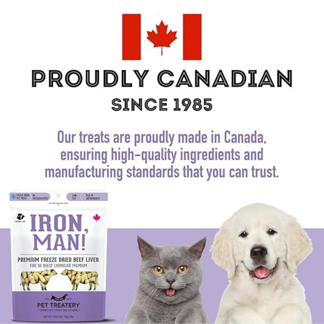The Granville Island Pet Treatery - Iron, Man!