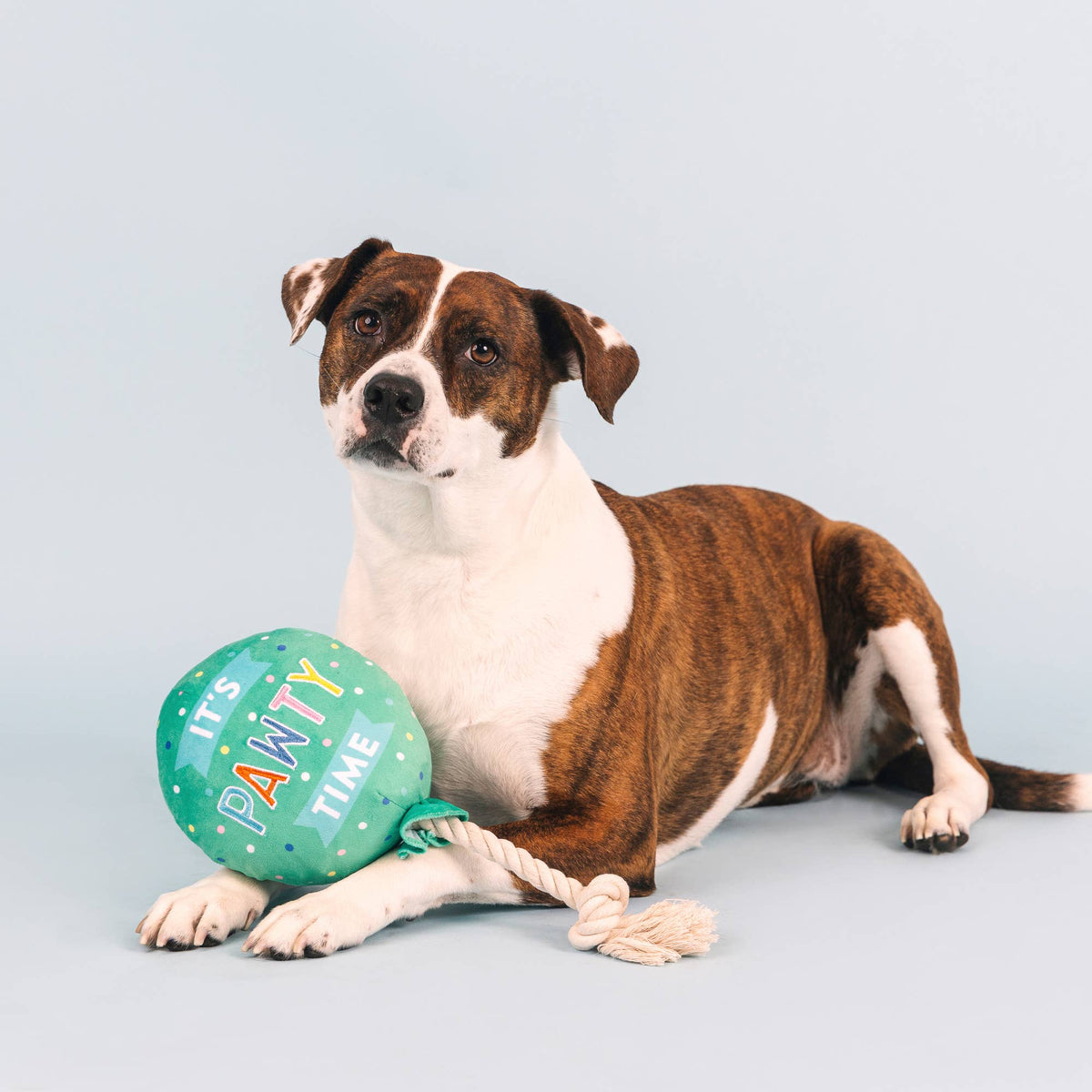 Petshop by Fringe Studio - I Pawty, You Pawty Balloon