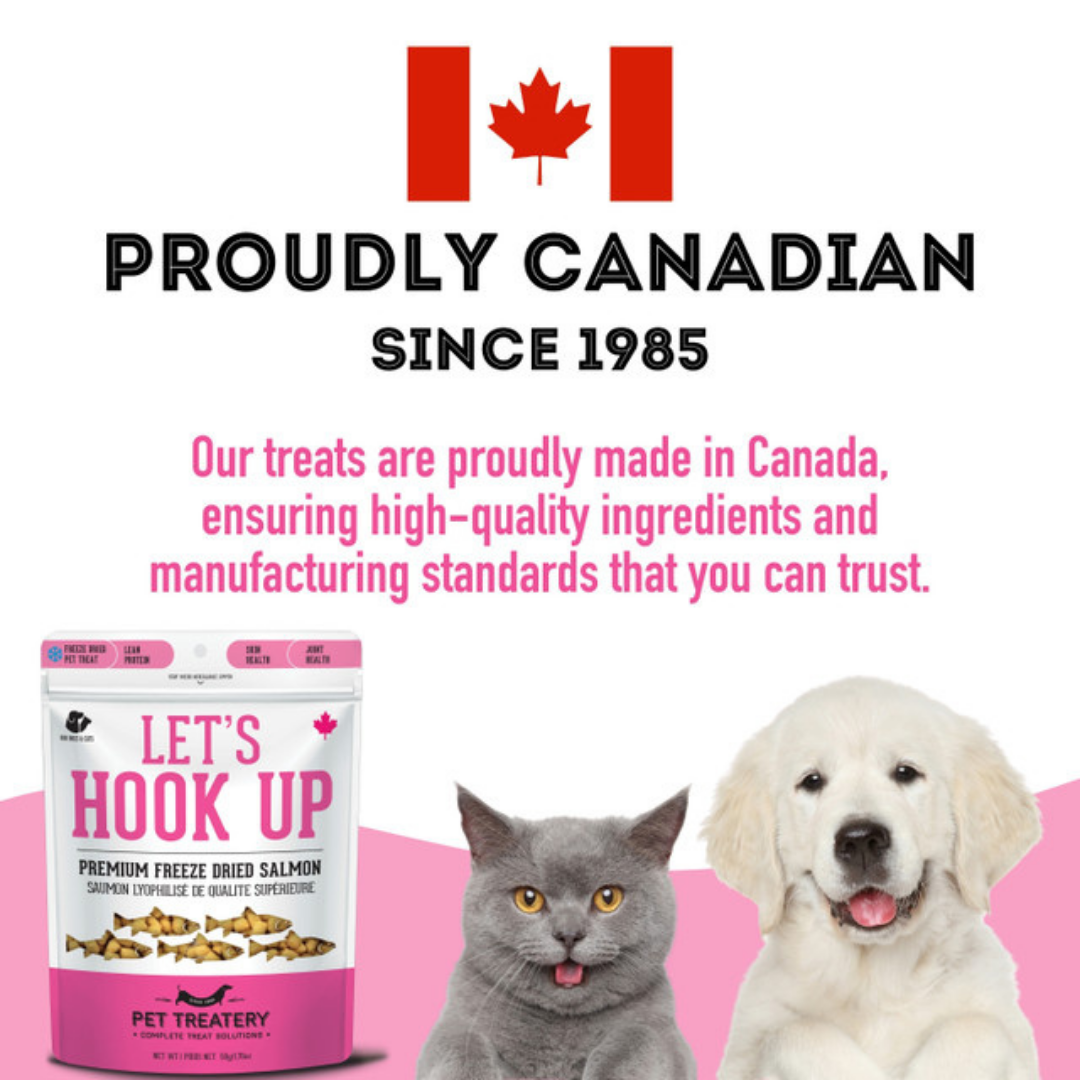 The Granville Island Pet Treatery - Let's Hook Up