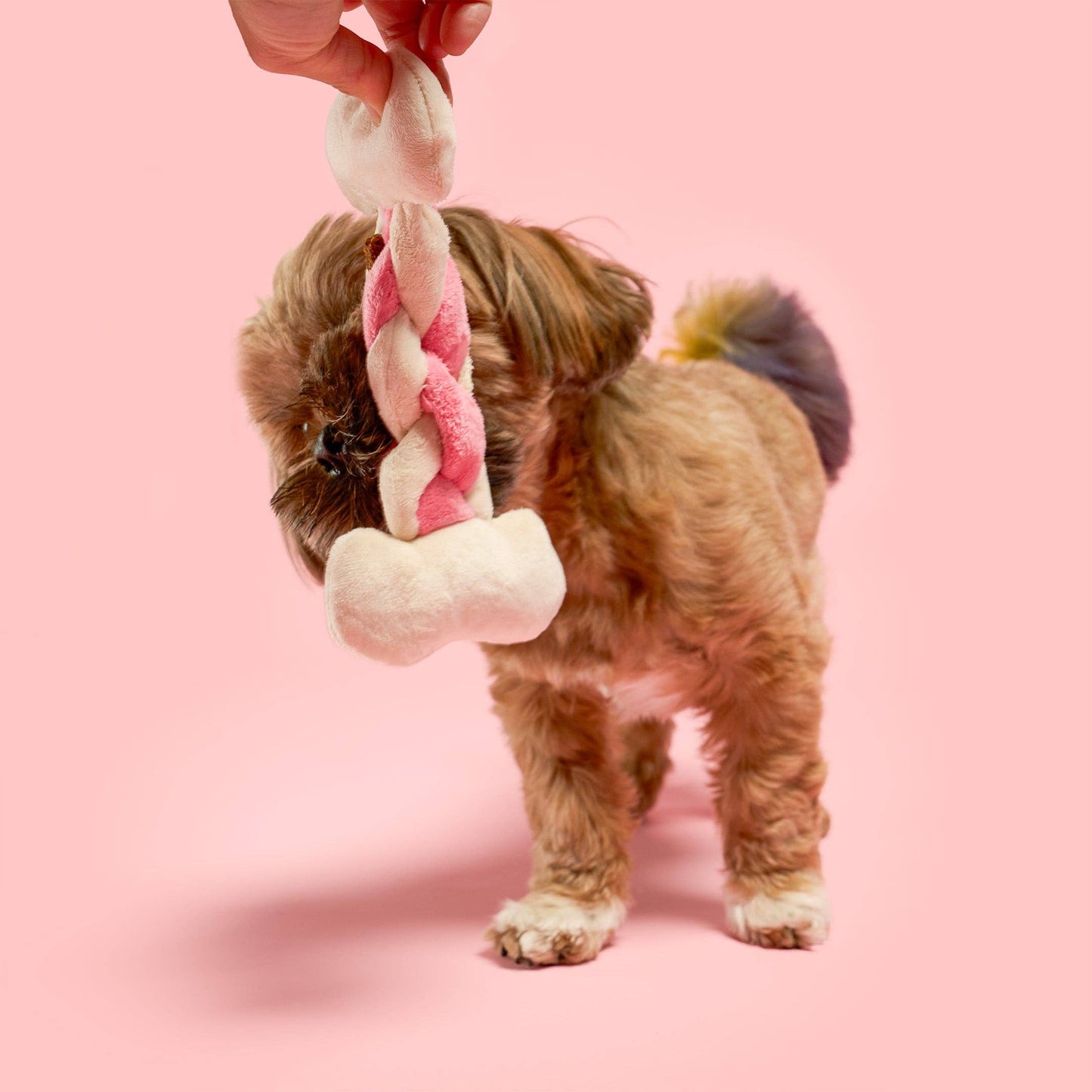 the furryfolks - Bone Appétit Nosework Toy