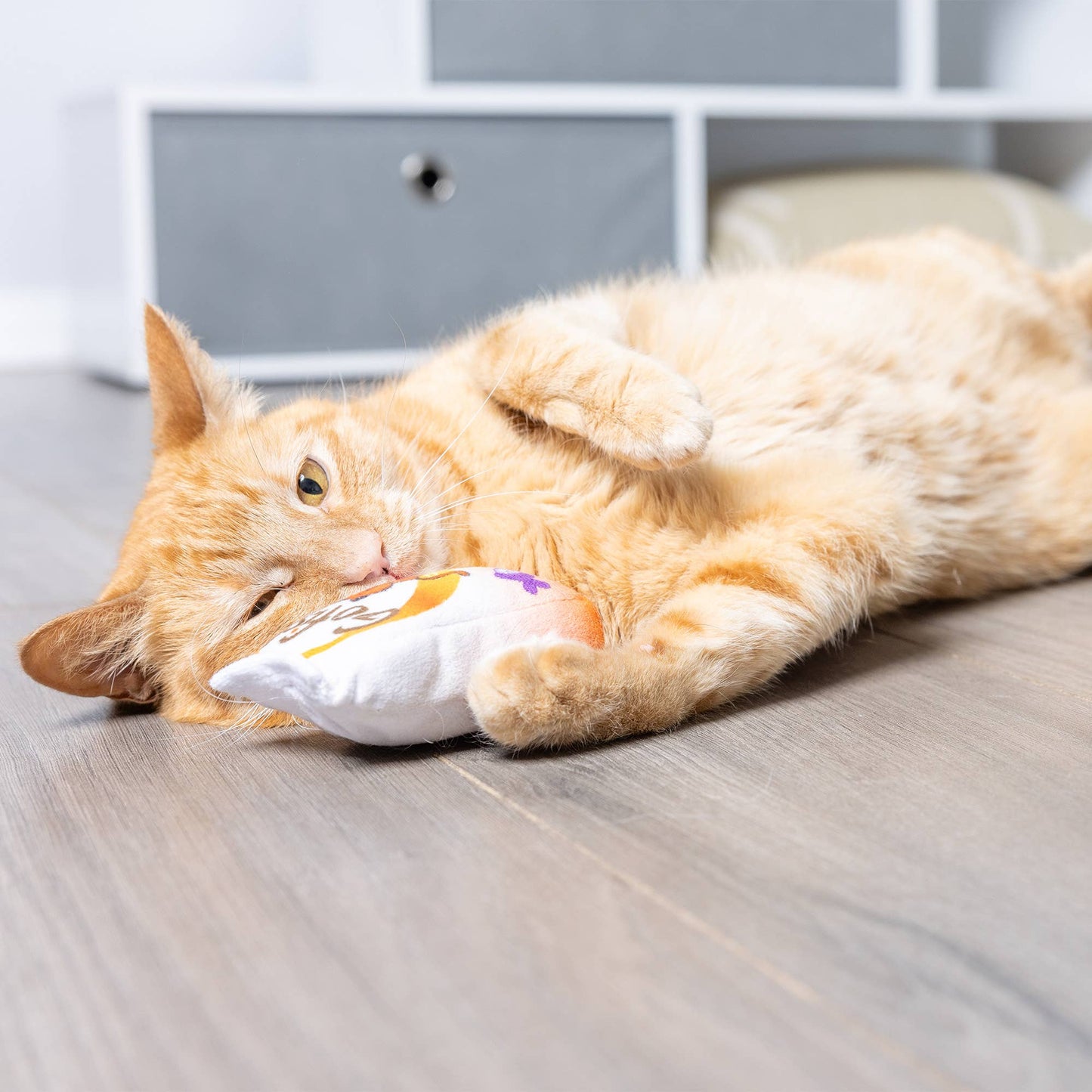 Huxley & Kent - Go Fish Phishy Cat Toy