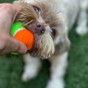 Spunky Pup - Squeaky Tennis Balls