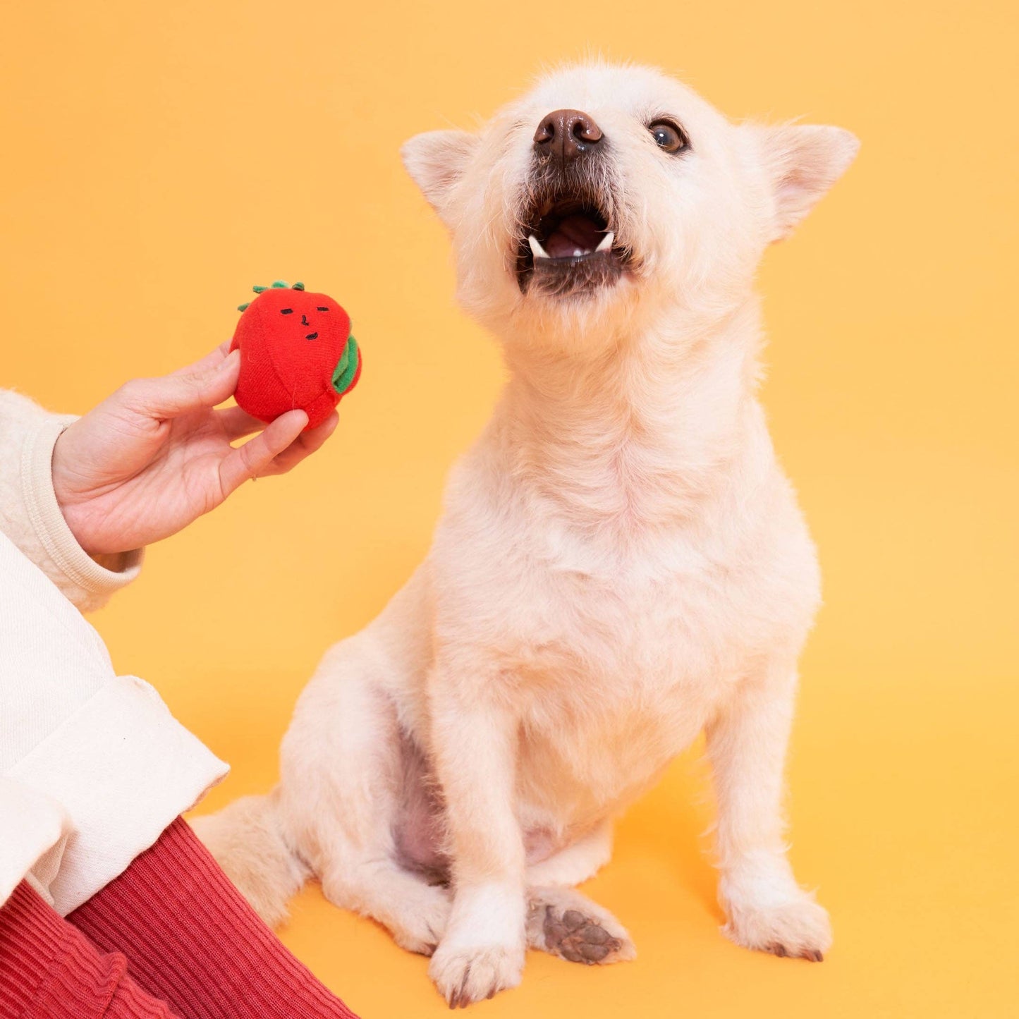 the furryfolks - Cherry Tomato Nose Work & Tug Toy