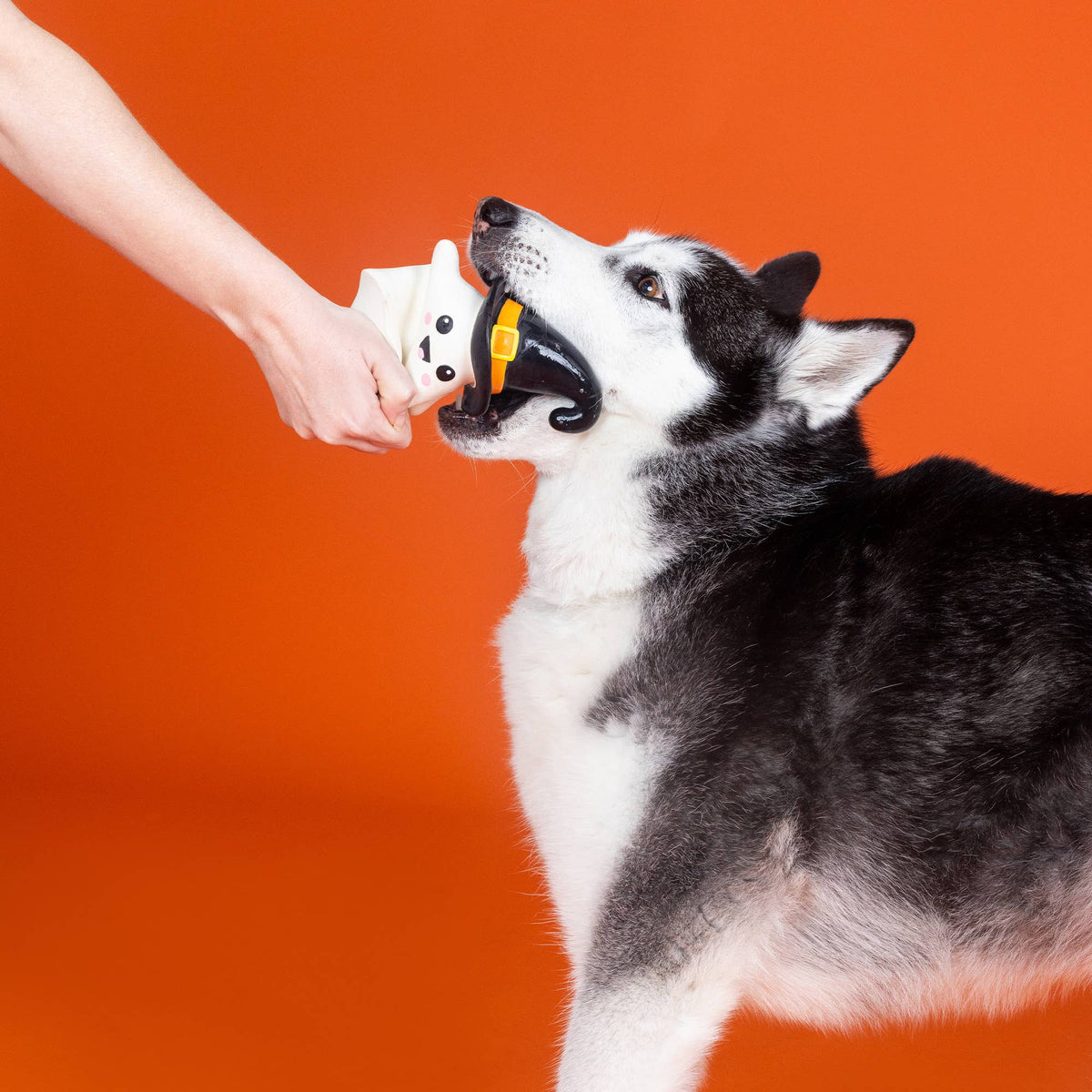 Petshop by Fringe Studio - One Wicked Ghost (Latex)