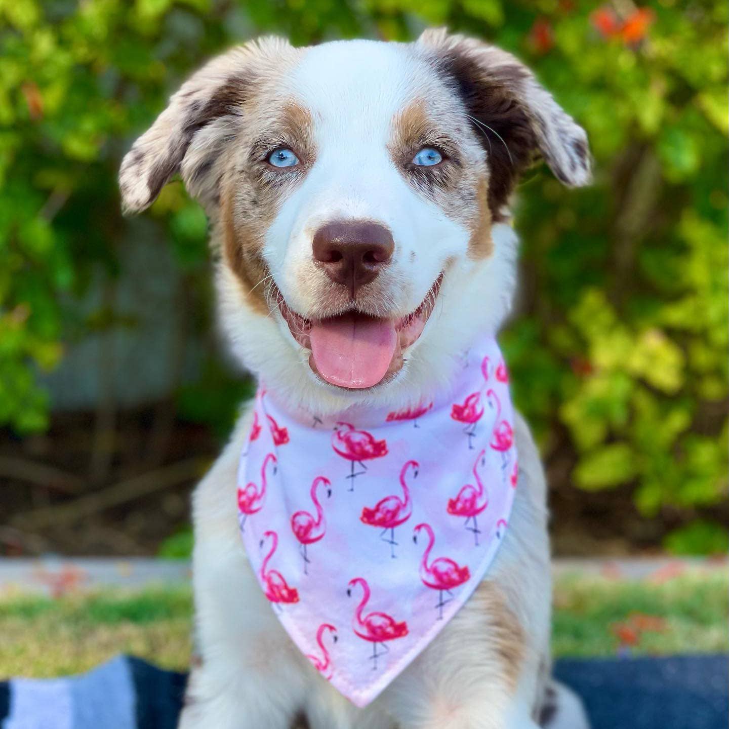 Bandana - Birthday Girl
