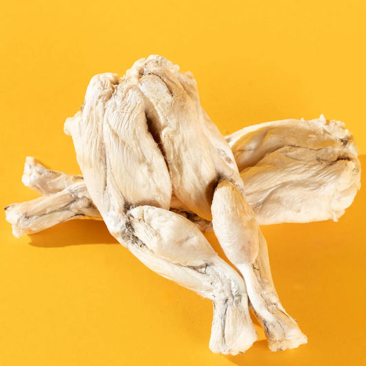 Frog Legs