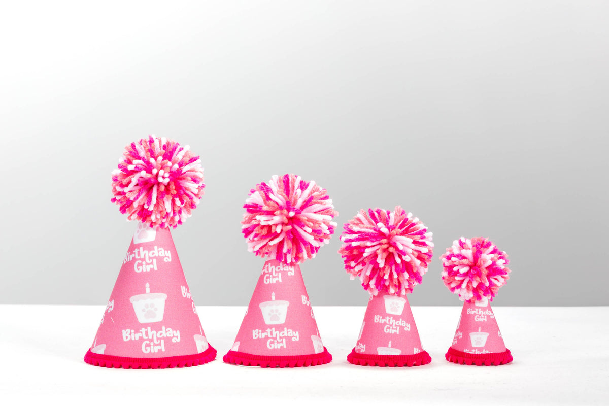 Pup Party Hats - Birthday Girl