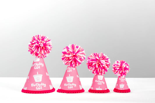 Pup Party Hats - Birthday Girl