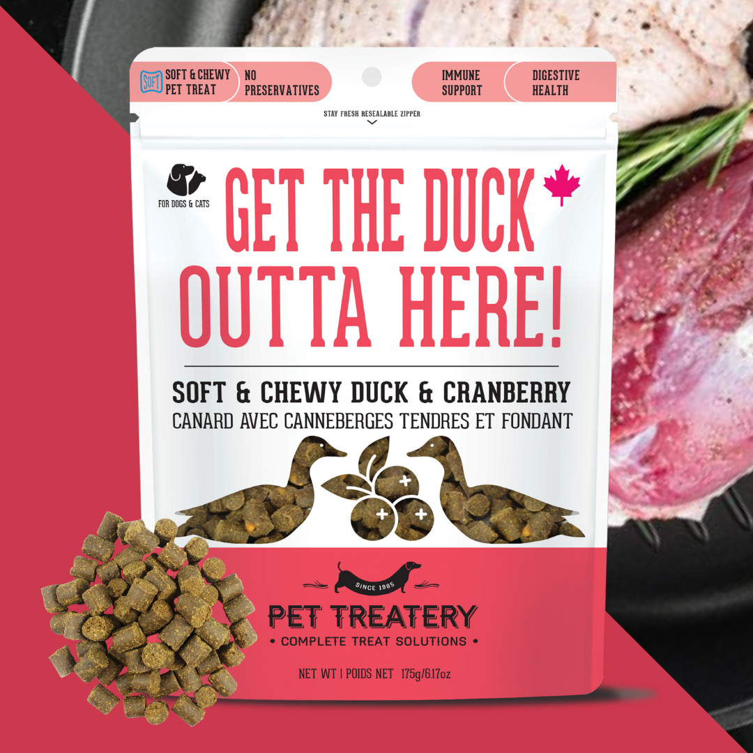 The Granville Island Pet Treatery - Get the Duck Outta Here!