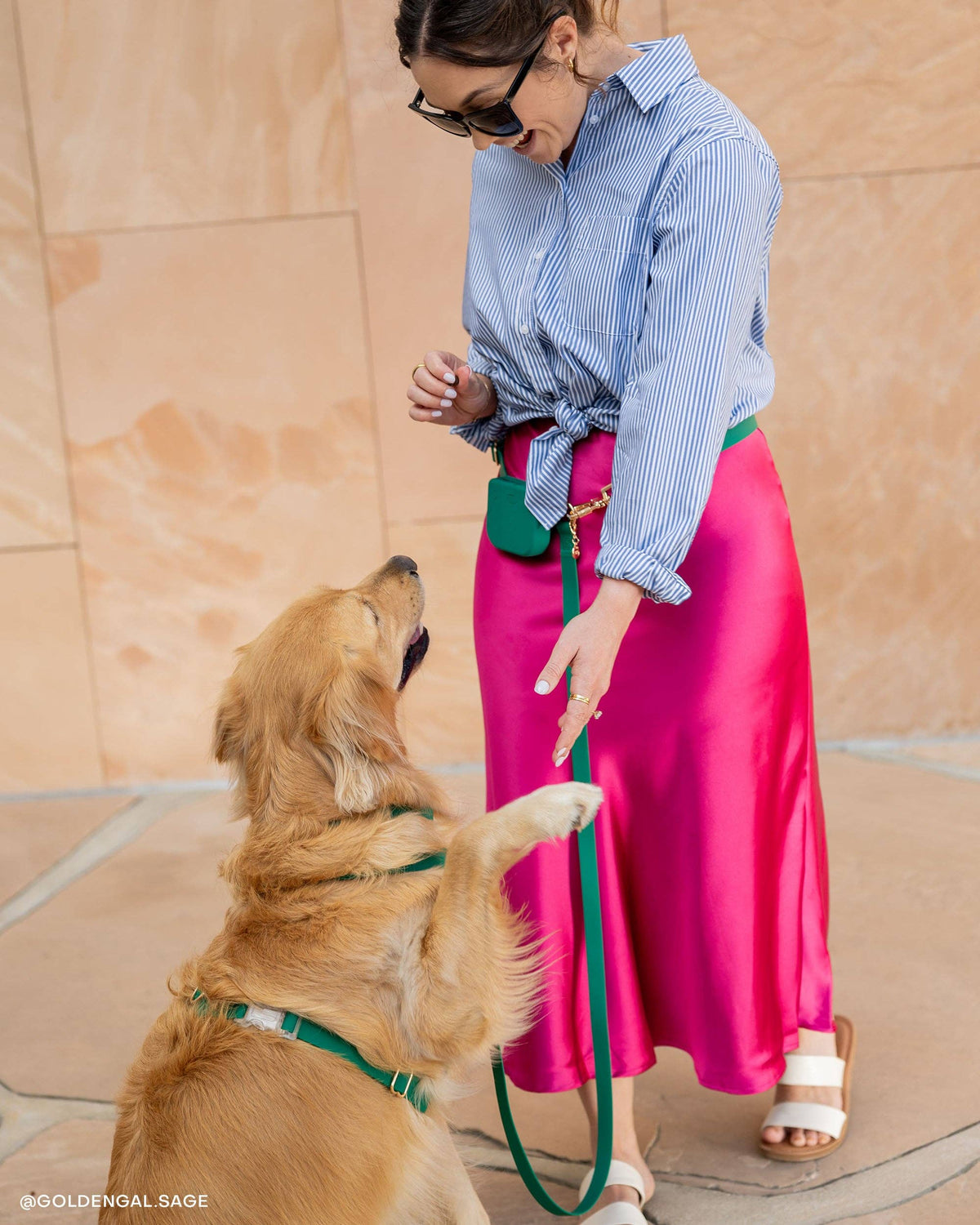 Sunny Tails - Meadow Green Snap Dog Treat Pouch