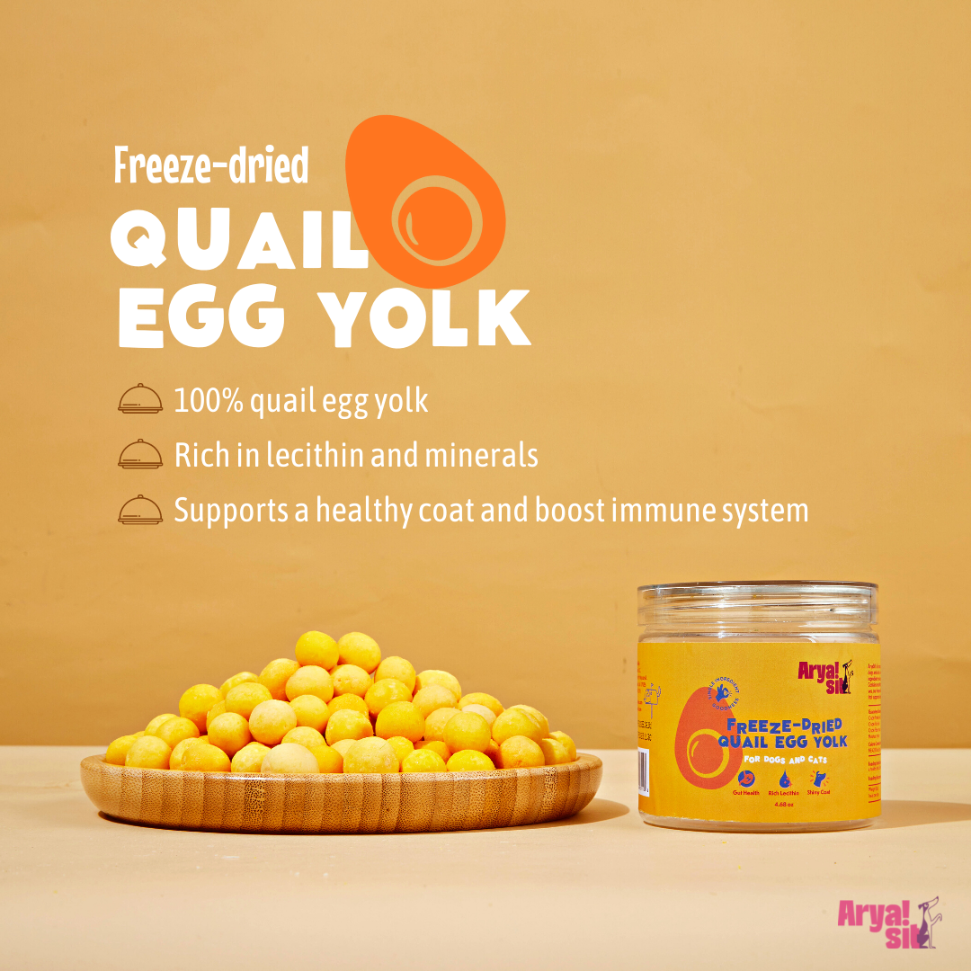 Arya Sit! - Freeze-Dried Egg Yolk