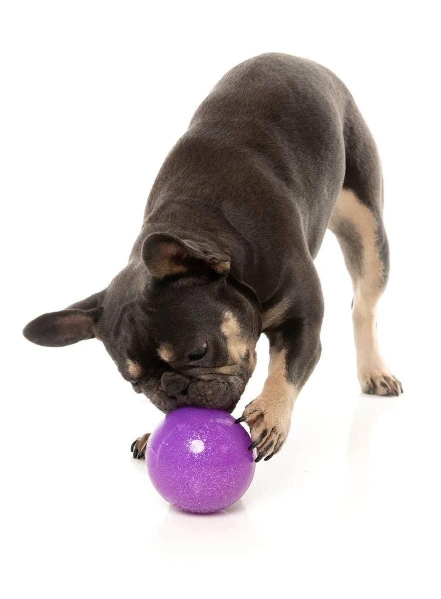 FuzzYard Truth Tellin' Treat Ball