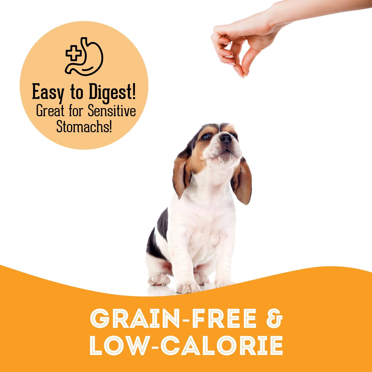 The Granville Island Pet Treatery - It's Like a Healthy Bacon Cheeseburger