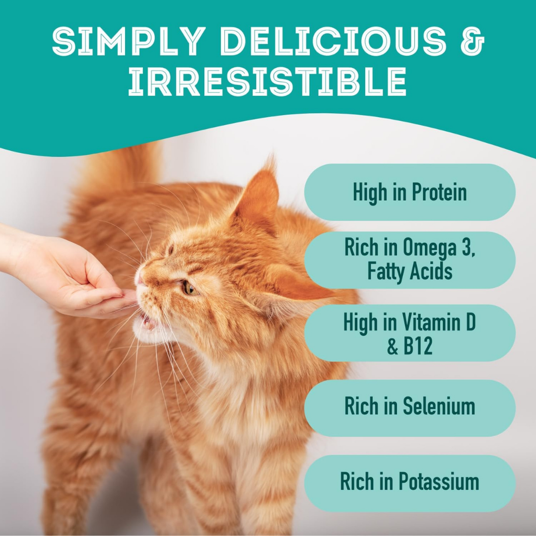 The Granville Island Pet Treatery - To Dive For!