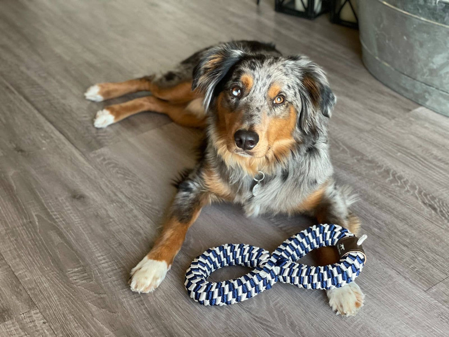 Tall Tails - Braided Infinity Tug Toy