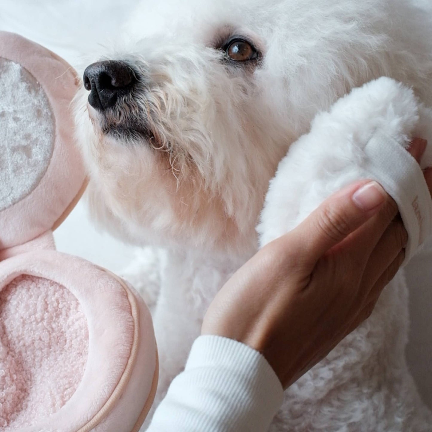 Lambwolf Collective - Blush Enrichment Toy
