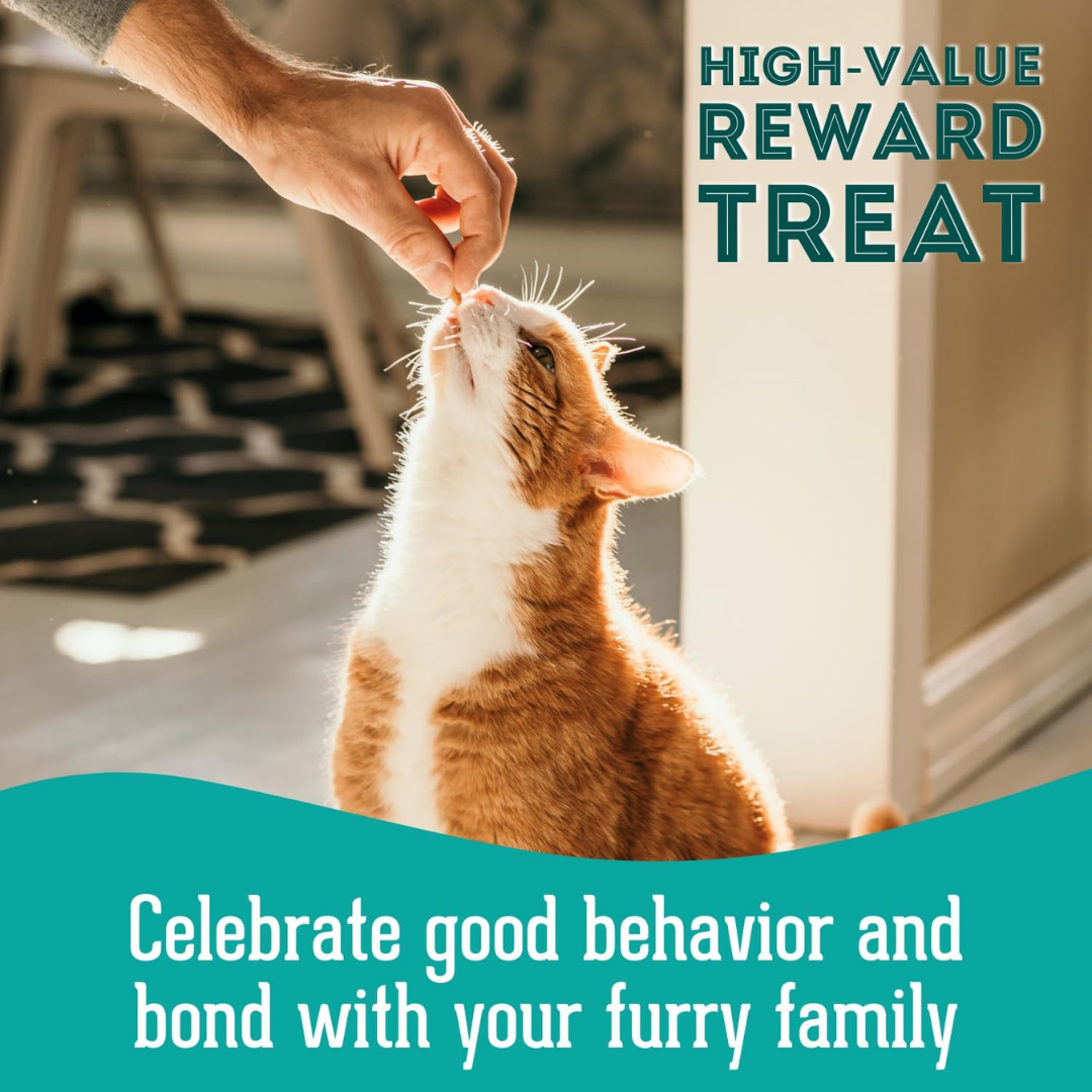 The Granville Island Pet Treatery - To Dive For!