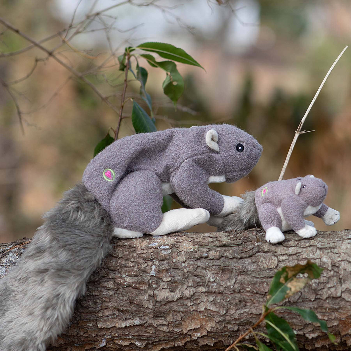 HuggleGroup - Squirrel