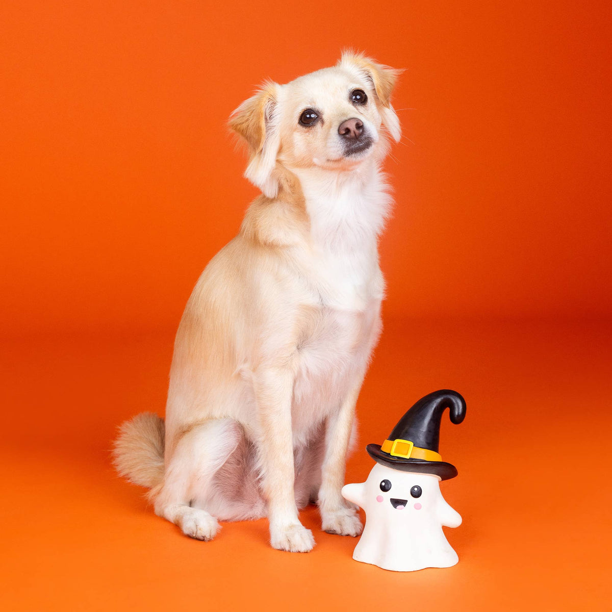 Petshop by Fringe Studio - One Wicked Ghost (Latex)