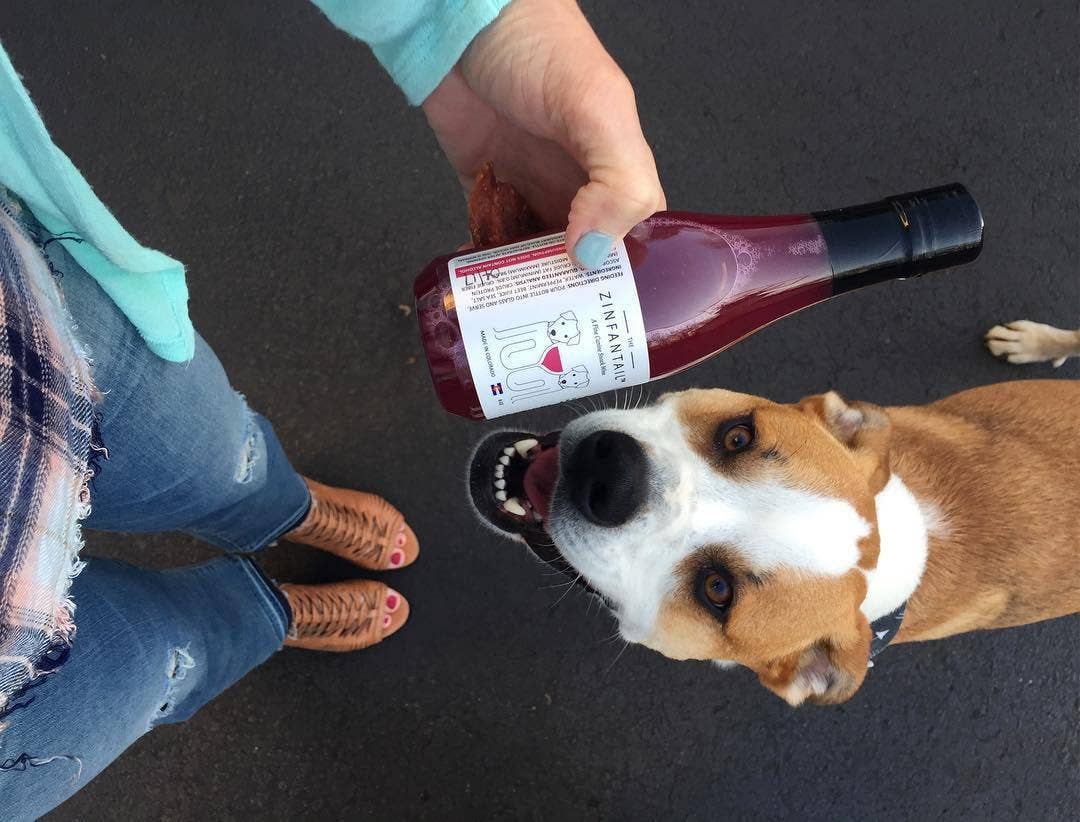 Dog Wine - Zinfantail