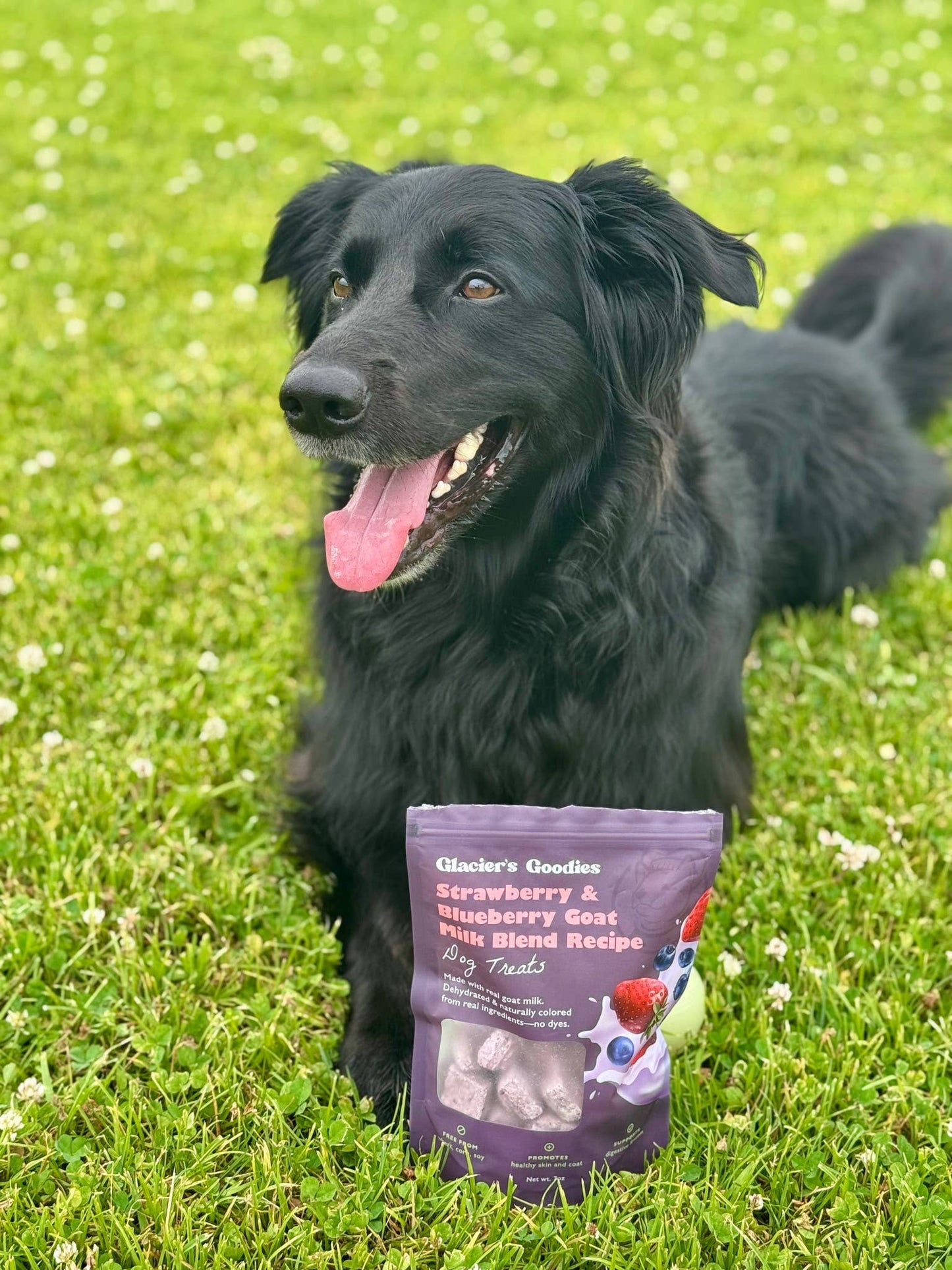 Glacier's Goodies - Goat Milk Dog Treats – Strawberry & Blueberry