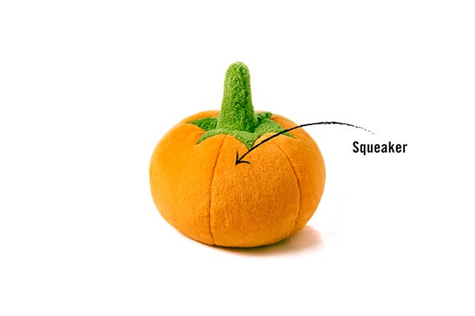 Play Pet Brands - Garden Fresh - Pumpkin - Mini