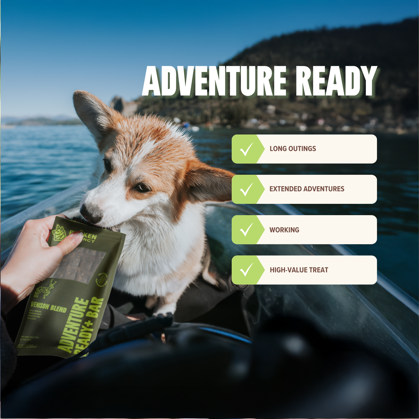 Ryōken Instinct Adventure Ready Bar - Venison