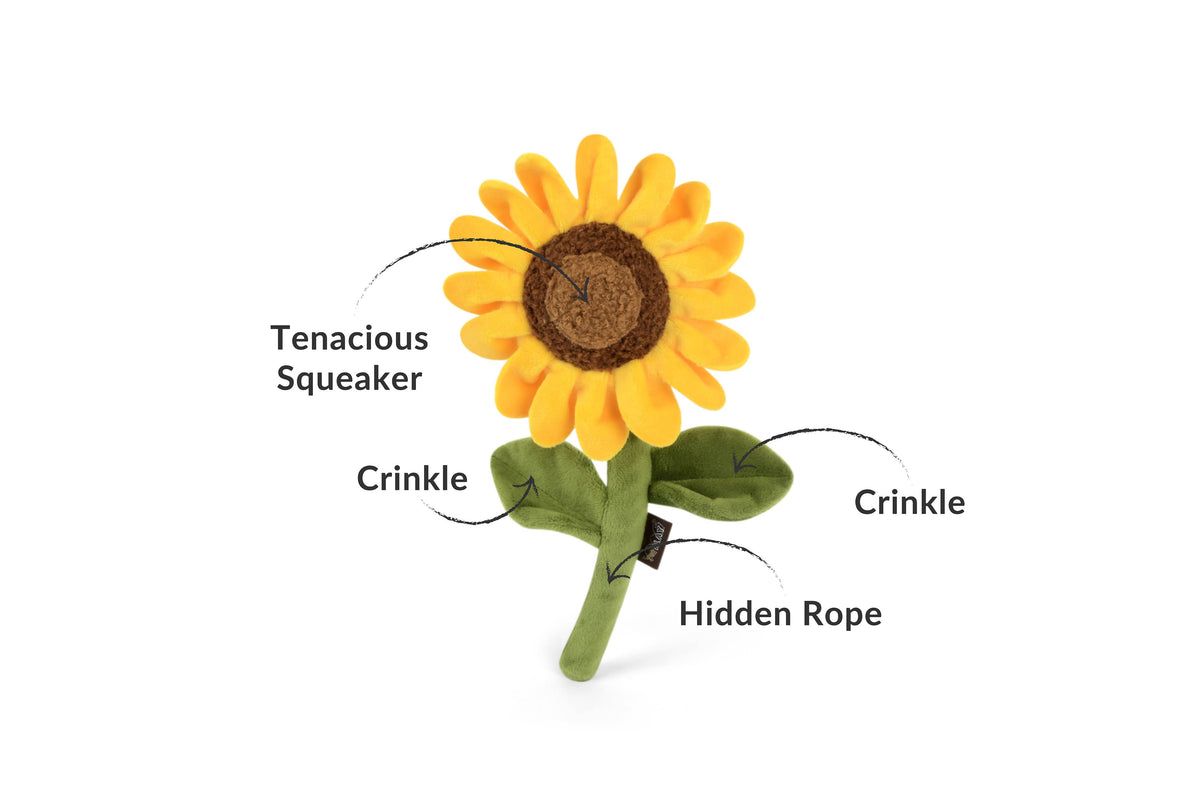 Play Pet Brands - Blooming Buddies - Sassy Sunflower