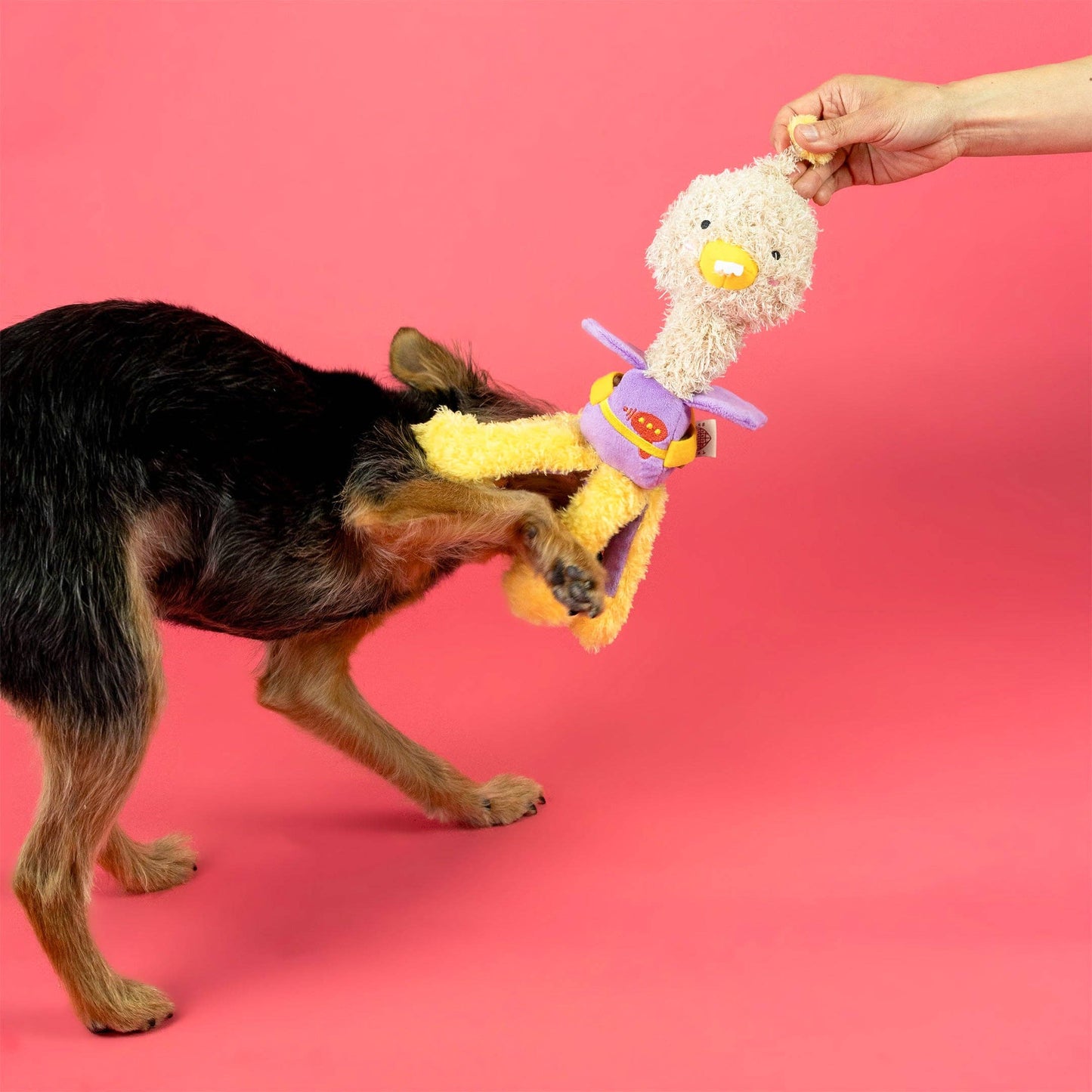 the furryfolks - OstriKraken Nosework Toy