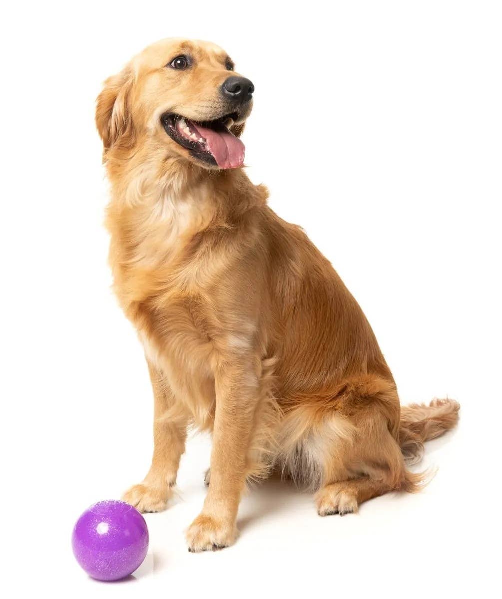 FuzzYard Truth Tellin' Treat Ball