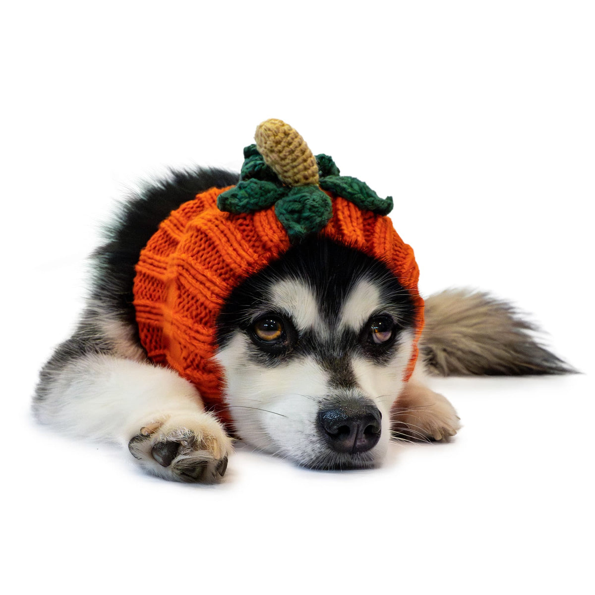 Zoo Snoods - Pumpkin Dog Snood