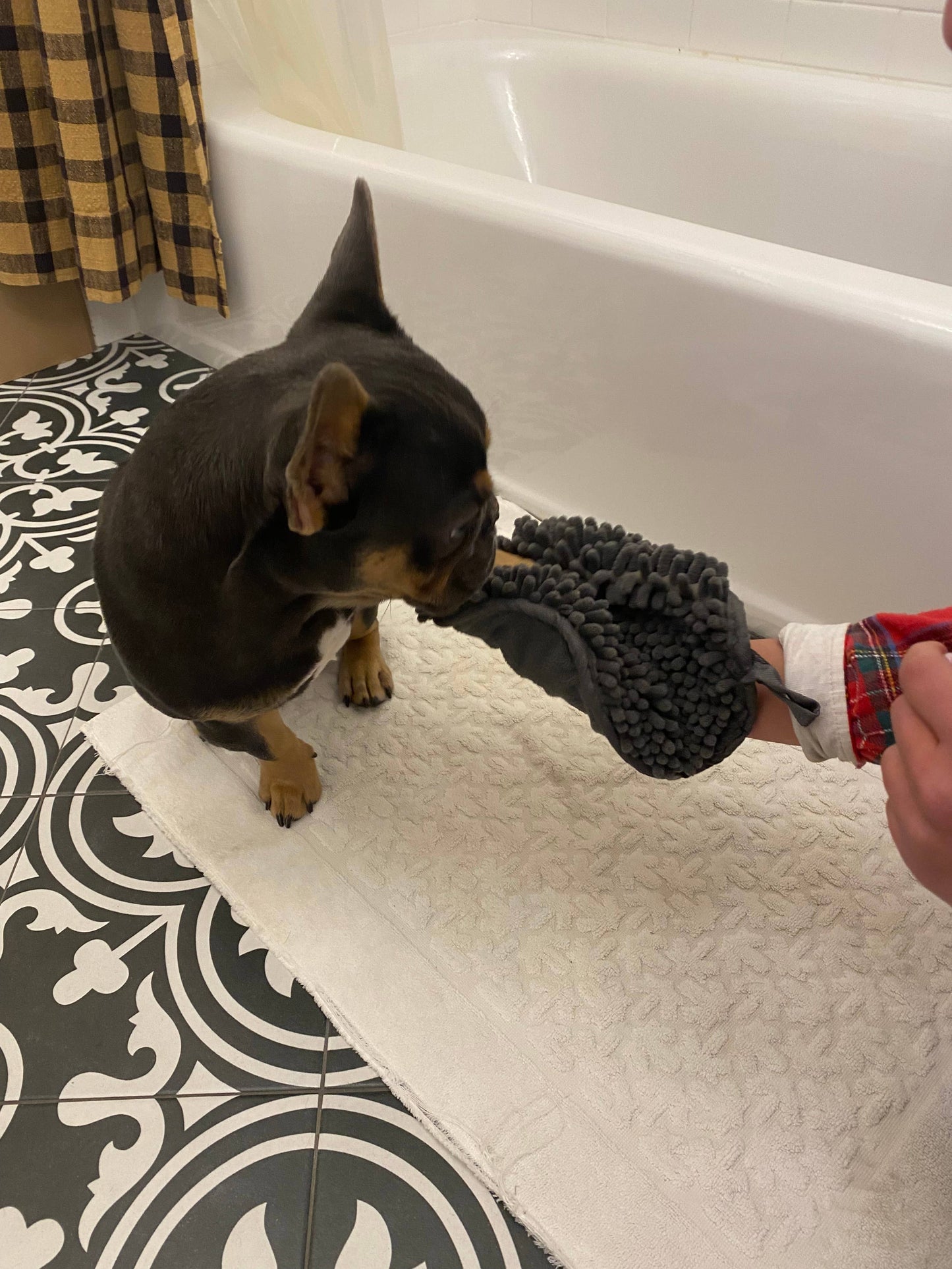Tall Tails -  Clean Paws Drying Mitt