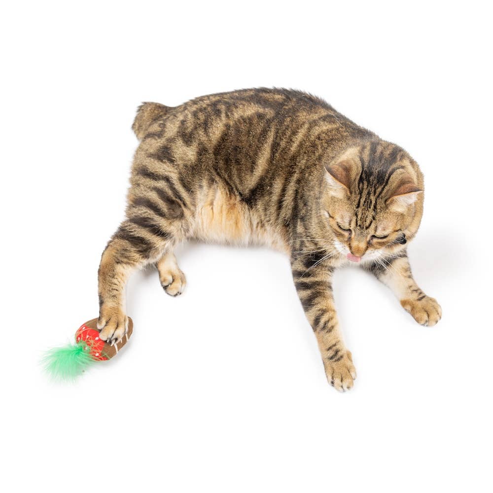 Huxley & Kent - Chocolate Strawberry Cat Toy