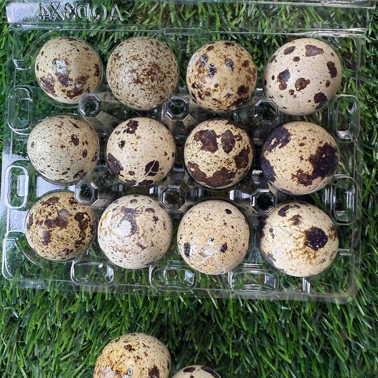Golden Nibbles - Quail Eggs