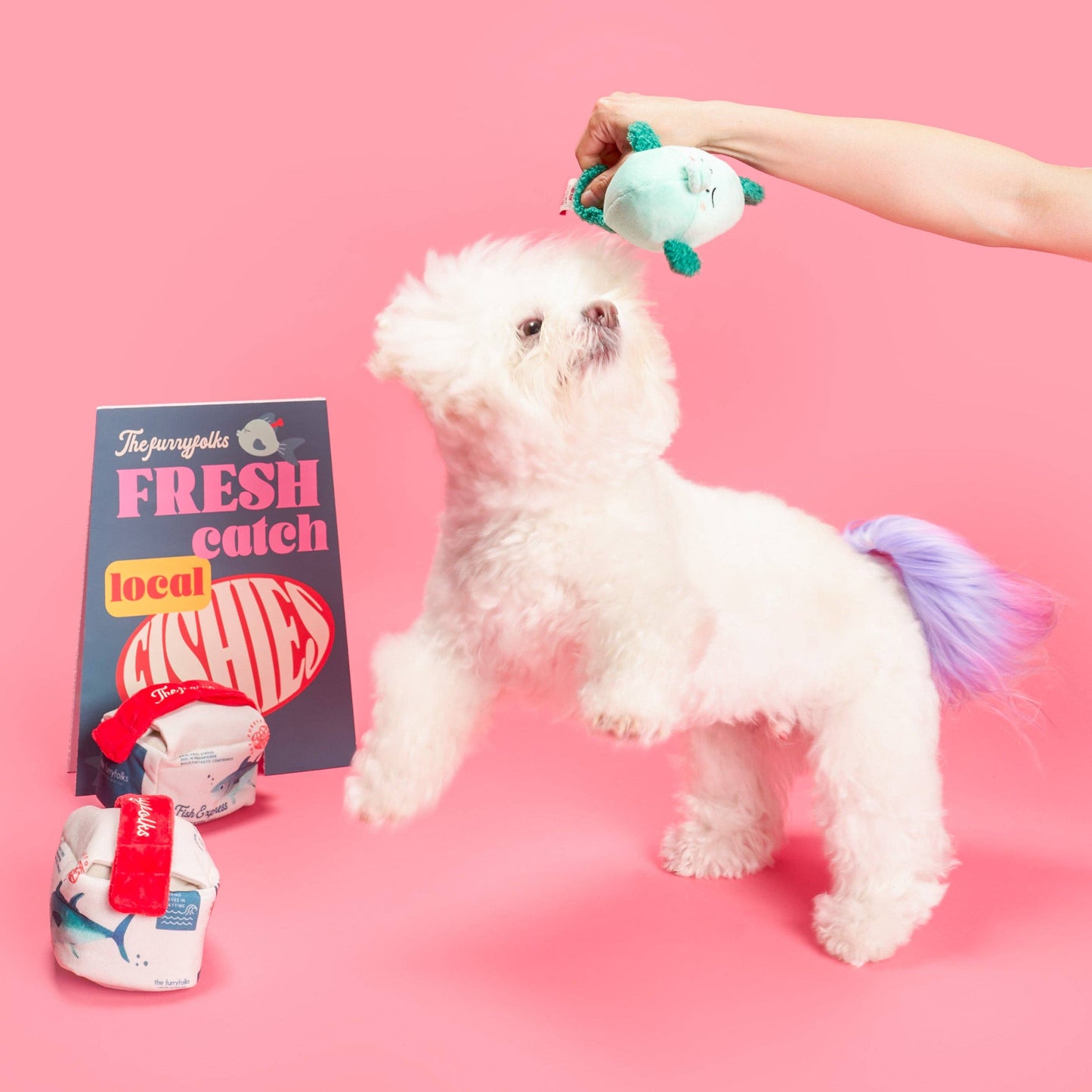 the furryfolks - Fish Express Nosework Toy
